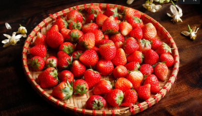 8 thực phẩm giúp giảm mỡ nội tạng trong 30 ngày